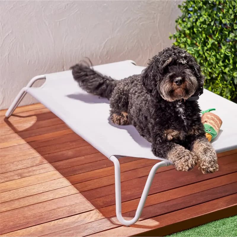 Raised outdoor pet bed